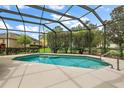 Screened-in pool area featuring a sparkling pool with playful sea creature inlays and lush landscaping at 946 Isle Of Palms Path, The Villages, FL 32162