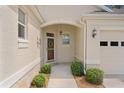 Close up of front door and entryway, showcasing the architectural details and manicured landscaping at 541 Cokesbury Dr, The Villages, FL 32162
