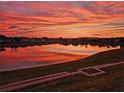 Stunning sunset view over the tranquil lake, reflecting vibrant colors in the water at 17108 Se 111Th Terrace Rd, Summerfield, FL 34491