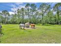 Pasture featuring two horses grazing in a large green pasture at 21320 Paradise Way, Eustis, FL 32736