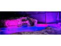 A beautiful pool with a rock slide feature, enhanced by vibrant purple and blue lights, perfect for evening relaxation at 14501 Wabasso Loop, Winter Garden, FL 34787