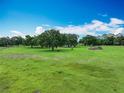 Sprawling green field with scattered mature trees, horses grazing, and a clear blue sky, perfect for country living at 17670 Se 283Rd Ave, Umatilla, FL 32784
