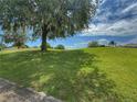 Expansive lush green lawn with mature trees providing ample shade and a serene atmosphere, perfect for outdoor activities at 3555 Chapel Hill Blvd, Clermont, FL 34711