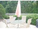 Relaxing outdoor patio with dining set and lounge chairs for enjoying the backyard at 8377 Se 177Th Bartram Loop, The Villages, FL 32162