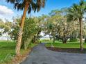 Scenic view of a private road lined with lush trees, leading towards a glimpse of a serene lake at 9269 Silver Lake Dr, Leesburg, FL 34788