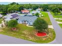 An aerial view of a well-maintained home featuring mature trees, landscape, and a refreshing screened pool at 2705 Bayview Dr, Eustis, FL 32726