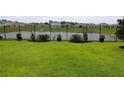 The backyard has well-maintained landscaping and an elegant black metal fence for security and aesthetic appeal at 33647 Sky Blossom Cir, Leesburg, FL 34788