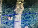 An aerial view shows a wooded lot, outlined in blue, with a single-Gathering home nestled within the trees at 37236 Cherry Lake Rd, Fruitland Park, FL 34731