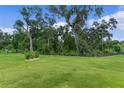 Lush green backyard with mature trees and a partial fence, offering privacy and a scenic view at 6991 Sugar Creek Path, The Villages, FL 34762