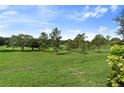 Expansive backyard with green grass and mature trees offering a serene, natural setting at 1351 Legendary Blvd, Clermont, FL 34711
