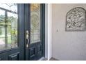 Elegant front door featuring decorative glass and detailed hardware, adding curb appeal at 29152 David Ct, Tavares, FL 32778