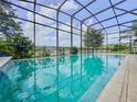 Inviting screened-in pool with clear water and picturesque views of the lake at 3021 King Palm Dr, New Smyrna Beach, FL 32168