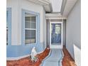 Close up of the charming blue front door with decorative features and landscaped surroundings at 5964 Brittania Blvd, Tavares, FL 32778