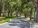 Scenic street lined with mature trees and lush greenery in a quiet neighborhood at 9335 San Jose Blvd, Howey In The Hills, FL 34737