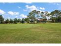 Scenic view of the golf course with lush green fairway, trees, and blue skies at 16862 Se 80Th Bellavista Cir, The Villages, FL 32162