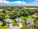 Expansive aerial shot of a beautiful home surrounded by lush greenery and mature trees at 206 Palermo Pl, Lady Lake, FL 32159