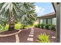 Lush backyard featuring a stone pathway winding through landscaped areas, a mature palm tree, and well maintained greenery at 2585 Constance Ct, The Villages, FL 32163