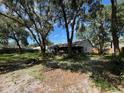 Spacious backyard with mature trees offering shade and privacy at 35219 Haines Creek Rd, Leesburg, FL 34788