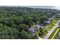 Scenic aerial shot of home surrounded by verdant trees with lake in the background at 4219 Magnolia Ave, Leesburg, FL 34748