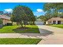 Single Gathering home with a long driveway and mature landscaping at 8045 Waterbury Way, Mount Dora, FL 32757