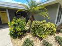A close-up of the well-maintained front garden with flowering bushes and decorative rocks at 1007 Cr 463B, Lake Panasoffkee, FL 33538