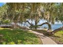 Lush backyard showcasing mature trees with Spanish moss and lake views at 13033 Se 158Th Ln, Weirsdale, FL 32195