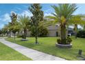 Manicured front yard showcasing lush green grass and decorative landscaping with several palm trees at 4018 Chandler Estates Dr, Apopka, FL 32712