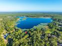 Stunning aerial view of a lakeside community showcasing lush greenery and tranquil waters at 54544 Buckhorn Rd, Astor, FL 32102