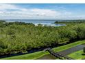 Scenic view of Lake Dora surrounded by lush greenery with a wooden walkway in the foreground at 1131 Dora Parc Ln, Mount Dora, FL 32757
