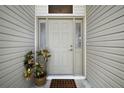 Welcoming front entry with a neutral-colored door, sidelights, and decorative potted plant creating an inviting entrance at 2265 Hackney Way, The Villages, FL 32162