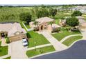 Expansive aerial view reveals a stucco home with a lush lawn, long driveway, and mature trees in a serene setting at 4548 Barrister Dr, Clermont, FL 34711