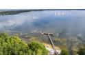 Scenic aerial view of a lake and private boat dock, with lush green trees at 11926 Milan Way, Leesburg, FL 34788