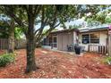Private backyard with a screened patio, storage shed, and mulch landscaping at 3015 Casselwood St, Winter Park, FL 32792