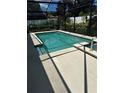 Screened-in pool with inviting blue water, surrounded by a spacious concrete patio and lush landscaping at 13109 Laurel Crest Ct, Grand Island, FL 32735
