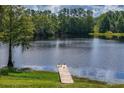 Scenic view of the tranquil lake with a wooden dock, surrounded by lush greenery and trees at 168 Pond Rd, Mount Dora, FL 32757