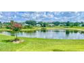 Picturesque backyard view of a tranquil pond surrounded by lush greenery, showcasing Florida nature at 5412 County Road 125, Wildwood, FL 34785