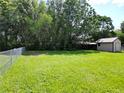 Large fenced backyard with lush green grass and convenient storage shed at 11681 Se 72Nd Court Rd, Belleview, FL 34420
