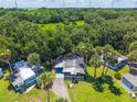 An aerial view showcasing the home and its peaceful neighborhood surrounded by lush greenery and mature trees at 10 Cocos Plumosa Dr, Eustis, FL 32726