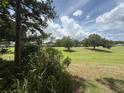 Expansive green backyard with mature trees, offering a serene and private outdoor space at 2299 Twickingham Ct, Clermont, FL 34711