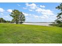 Lush green lawn extending towards a serene lake under a partly cloudy sky at 9335 Silver Lake Dr, Leesburg, FL 34788