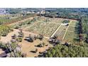 Aerial view of a large property with numerous trees at 16385 Nw 112Th Ct, Reddick, FL 32686