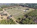 Aerial view of a large property with numerous trees at 16385 Nw 112Th Ct, Reddick, FL 32686