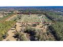 Aerial view of a large property with numerous trees at 16385 Nw 112Th Ct, Reddick, FL 32686