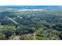 Expansive aerial view showcases the property surrounded by lush green forest with lake in background at 18 Malauka Loop Pass, Ocklawaha, FL 32179