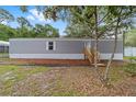 Charming single-story home featuring gray siding, a wooden entry staircase, and a well-kept front yard at 221 Se 167Th Ct, Silver Springs, FL 34488