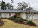 House exterior featuring a yellow door and mature landscaping at 1163 Cephia St, Lake Wales, FL 33853