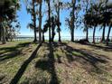 Scenic backyard view with mature trees and a glimpse of the serene lake at 1385 N Lake Reedy Blvd, Frostproof, FL 33843