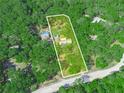 An aerial view showing the property with mature landscaping, a pool and a home with a metal roof at 3123 Mar Lisa Cove Rd, Lake Wales, FL 33898