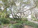 Landscaped front yard with a bench and mature trees surrounding a charming single-story home at 882 Redwood Way, Lake Wales, FL 33898