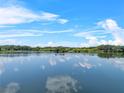 Scenic lake view reflecting blue skies and clouds surrounded by lush greenery, enhancing the tranquil setting at 4541 Fairway Oaks Dr, Mulberry, FL 33860